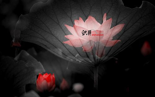 心善的人，自帶光芒 1.jpg